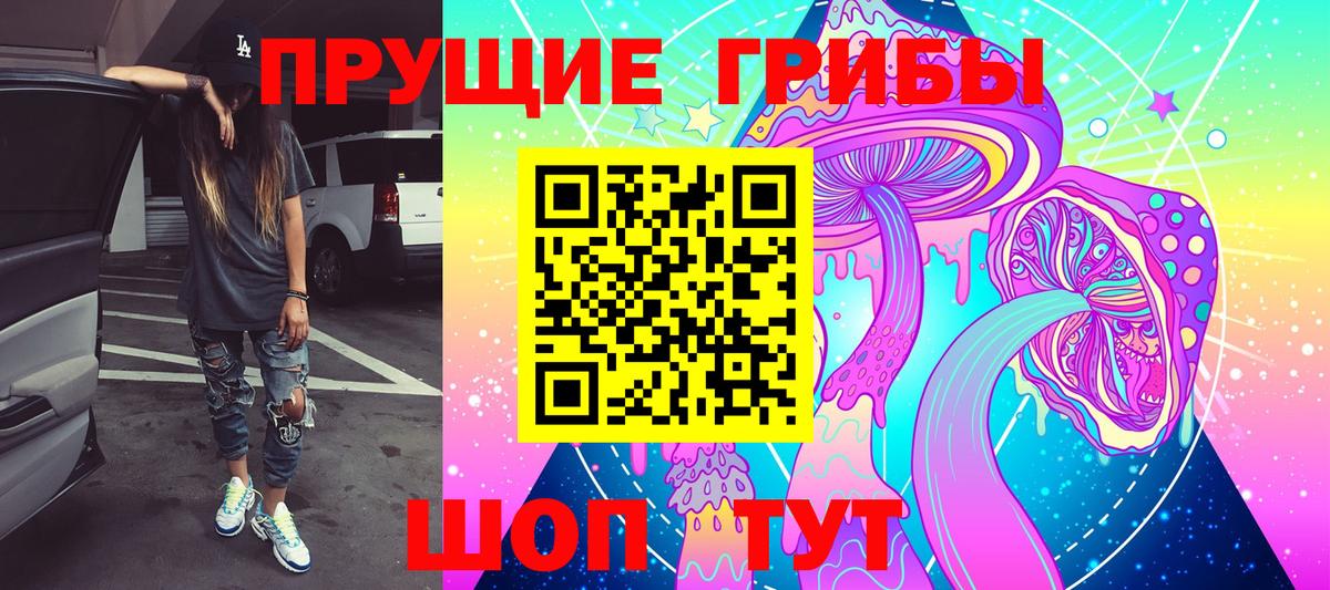 Галлюциногенные грибы Psilocybe Зерноград