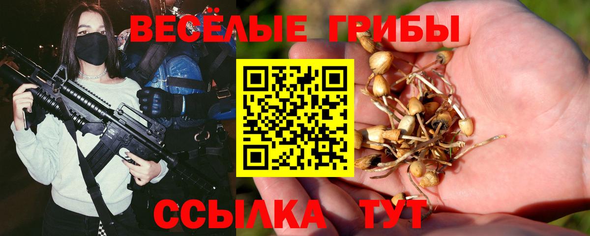 Зерноград  Галлюциногенные грибы прущие грибы  Вход с VPN 